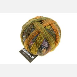 Schoppel Edition 6 lace